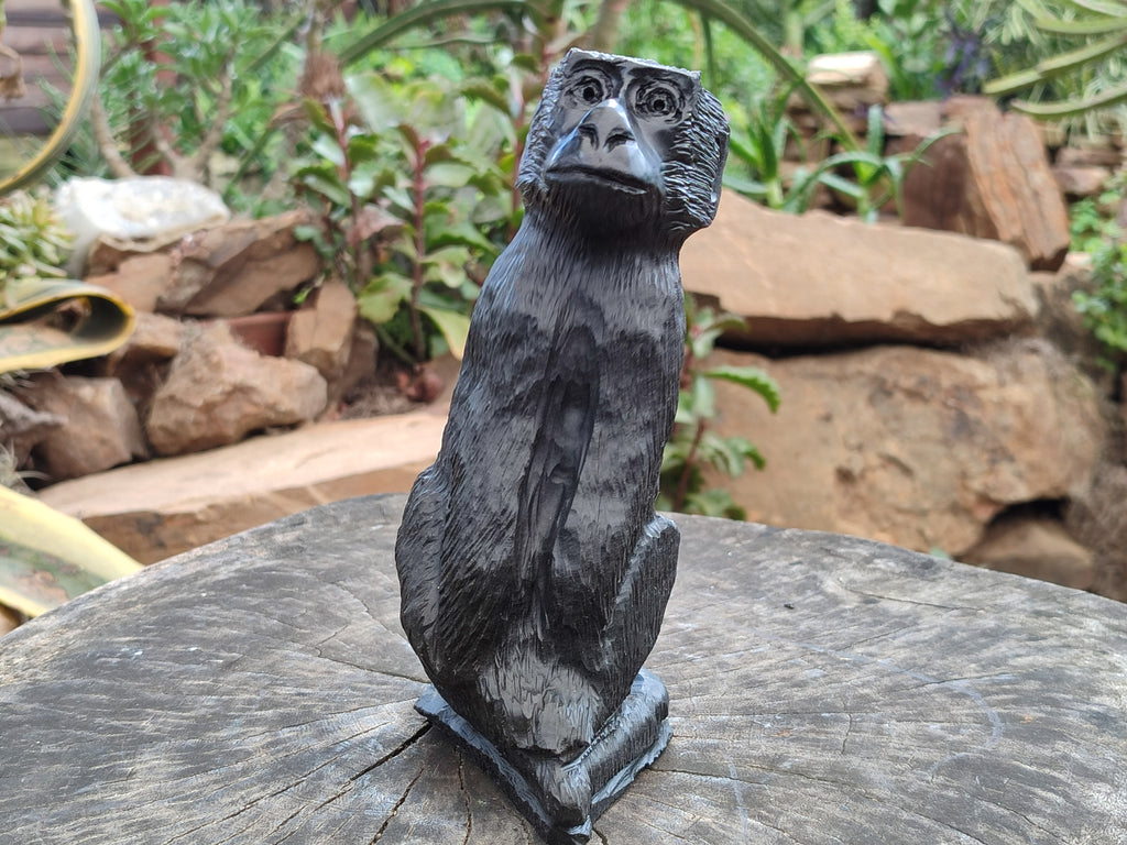 Hand Made Black Soapstone Baboon Carving x 1 From Zimbabwe - Toprock Gemstones and Minerals 