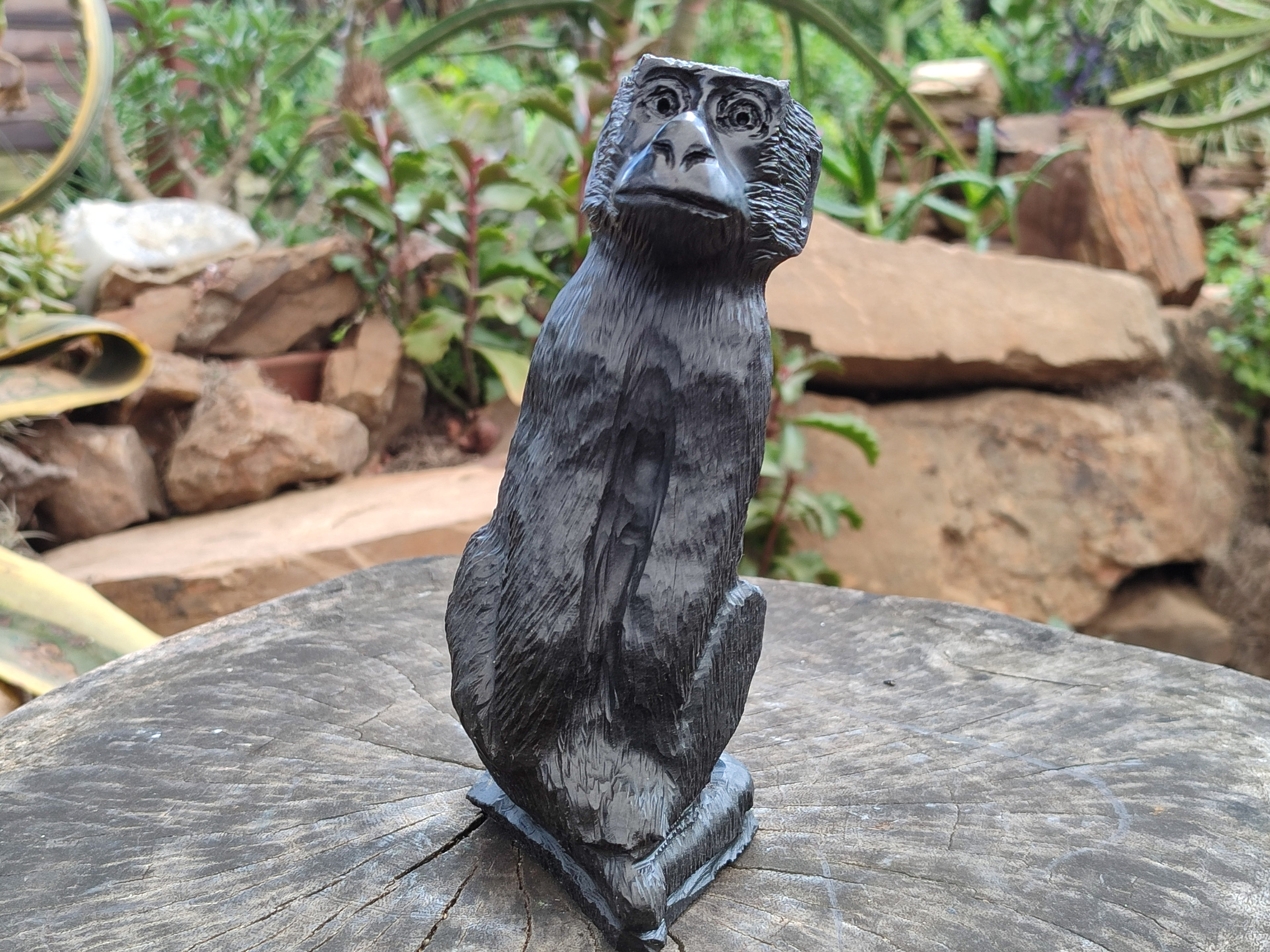 Hand Made Black Soapstone Baboon Carving x 1 From Zimbabwe - Toprock Gemstones and Minerals 