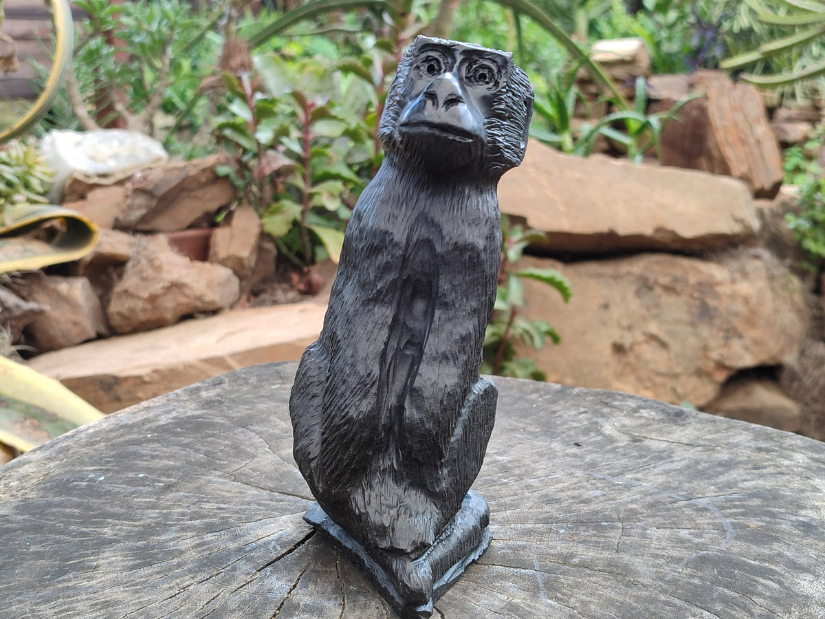 Hand Made Black Soapstone Baboon Carving x 1 From Zimbabwe - Toprock Gemstones and Minerals 