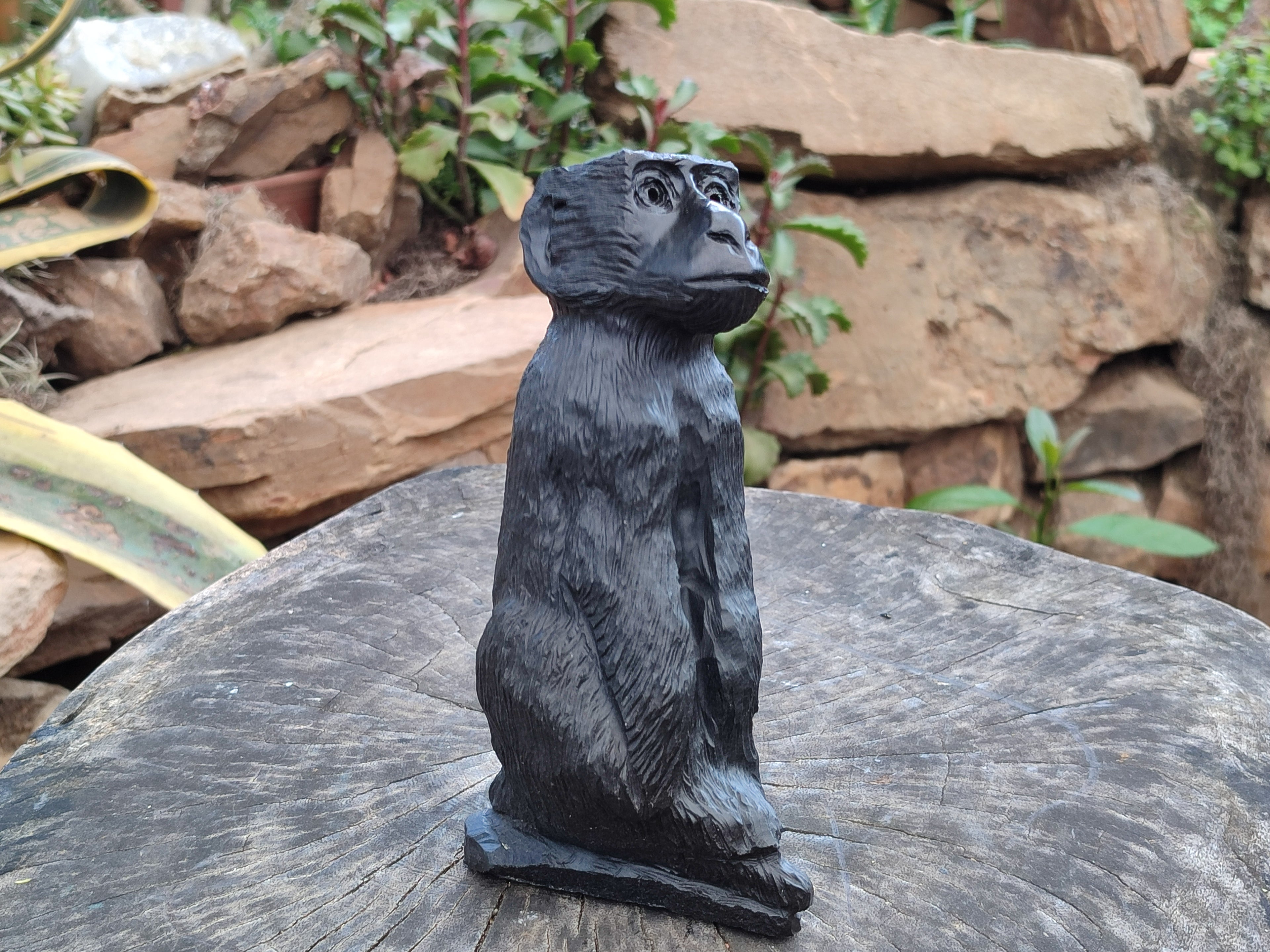 Hand Made Black Soapstone Baboon Carving x 1 From Zimbabwe - Toprock Gemstones and Minerals 