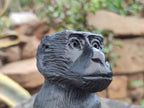 Hand Made Black Soapstone Baboon Carving x 1 From Zimbabwe - Toprock Gemstones and Minerals 