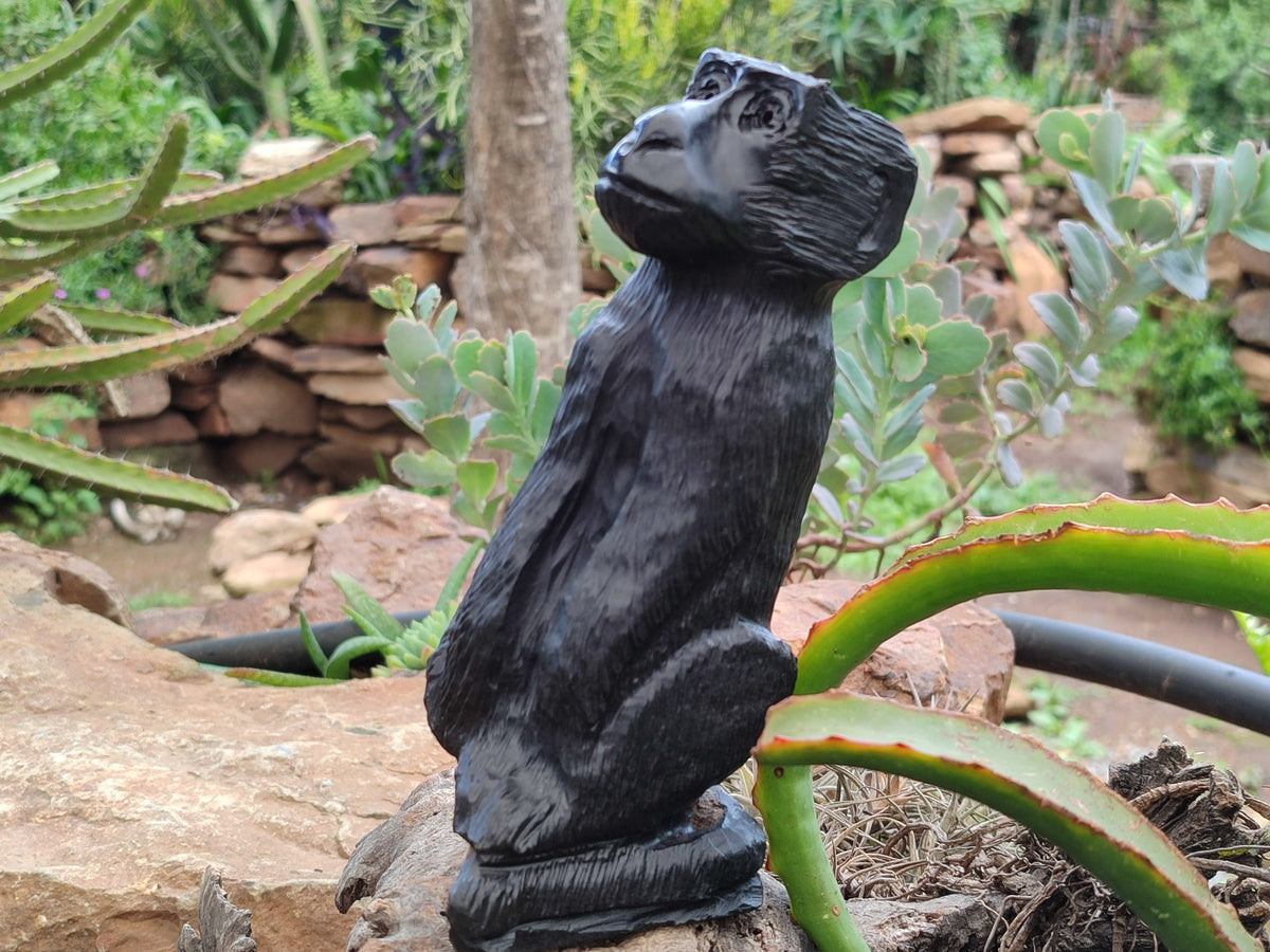 Hand Made Black Soapstone Baboon Carving x 1 From Zimbabwe - Toprock Gemstones and Minerals 