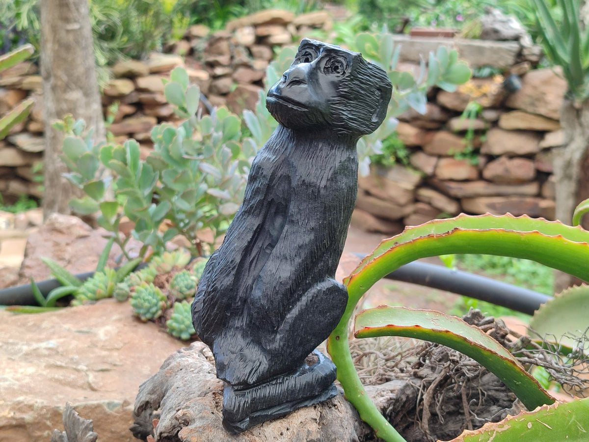 Hand Made Black Soapstone Baboon Carving x 1 From Zimbabwe - Toprock Gemstones and Minerals 