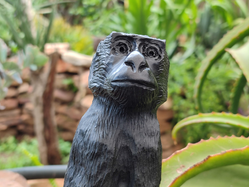 Hand Made Black Soapstone Baboon Carving x 1 From Zimbabwe - Toprock Gemstones and Minerals 