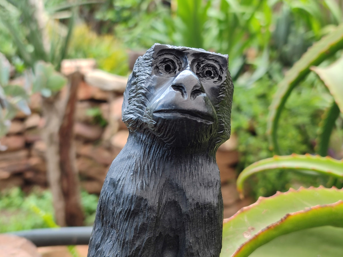 Hand Made Black Soapstone Baboon Carving x 1 From Zimbabwe - Toprock Gemstones and Minerals 