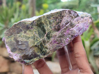 Natural Stichtite Cobbed Specimens x 8 From Barberton, South Africa - Toprock Gemstones and Minerals 