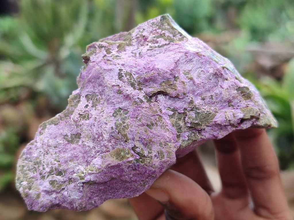 Natural Stichtite Cobbed Specimens x 8 From Barberton, South Africa - Toprock Gemstones and Minerals 