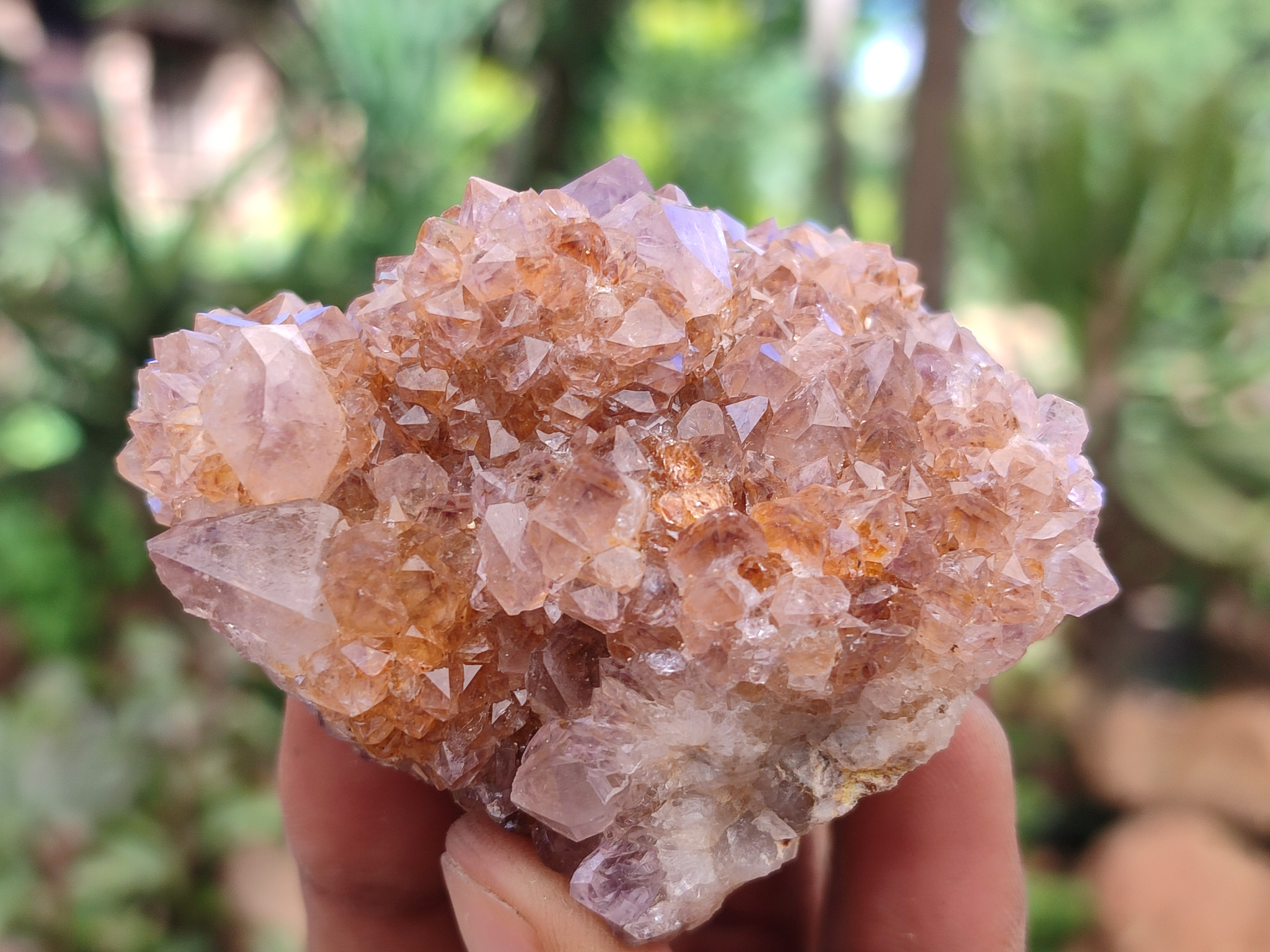 Natural Amethyst Spirit Quartz Clusters x 6 From Boekenhouthoek, South Africa - Toprock Gemstones and Minerals 