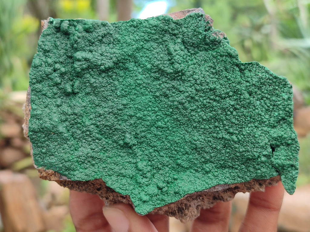 Natural Botryoidal Malachite Specimens x 5 From Congo - Toprock Gemstones and Minerals 