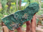 Natural Botryoidal Malachite Specimens x 5 From Congo - Toprock Gemstones and Minerals 