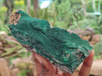 Natural Botryoidal Malachite Specimens x 5 From Congo - Toprock Gemstones and Minerals 
