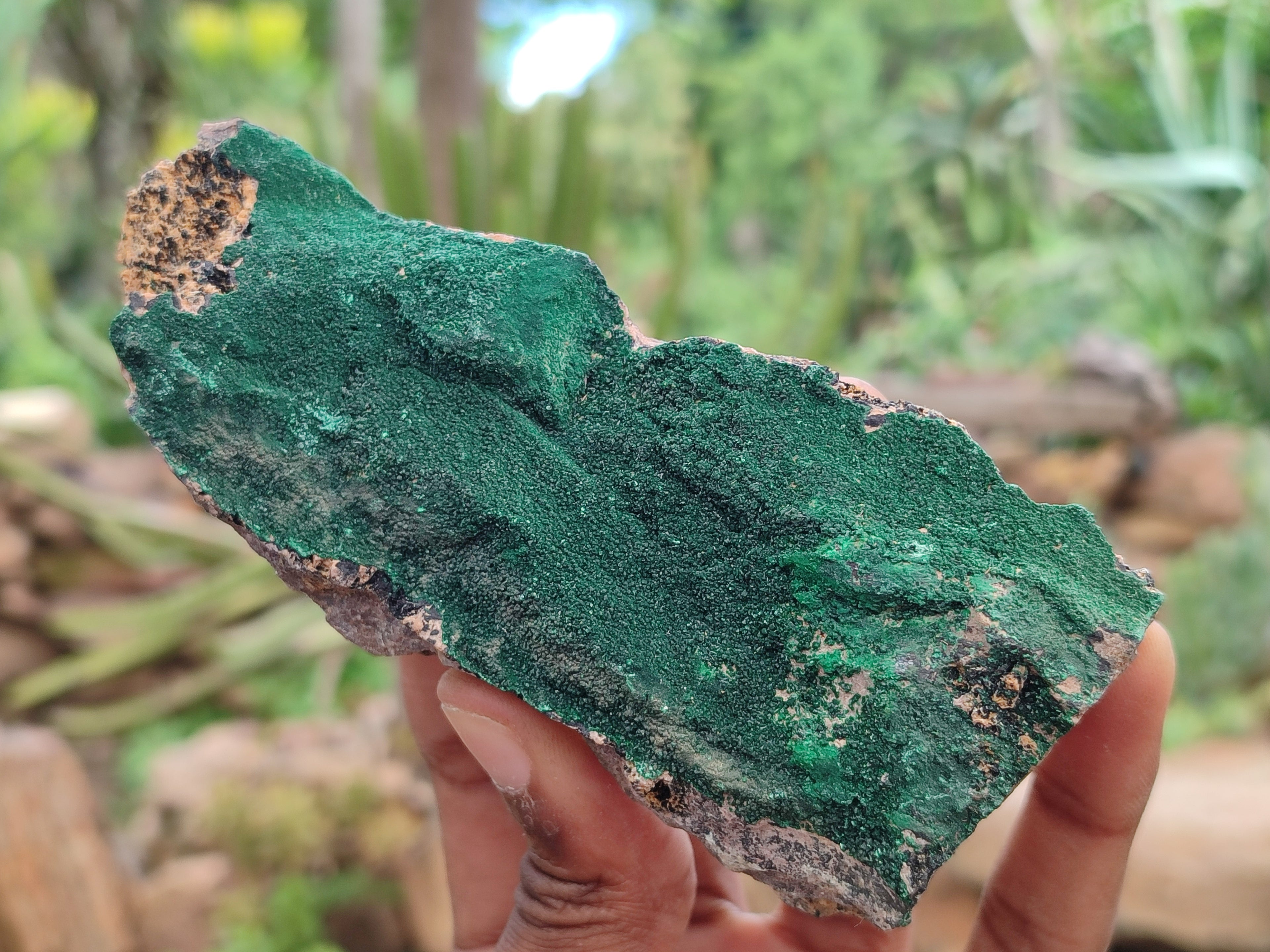 Natural Botryoidal Malachite Specimens x 5 From Congo - Toprock Gemstones and Minerals 