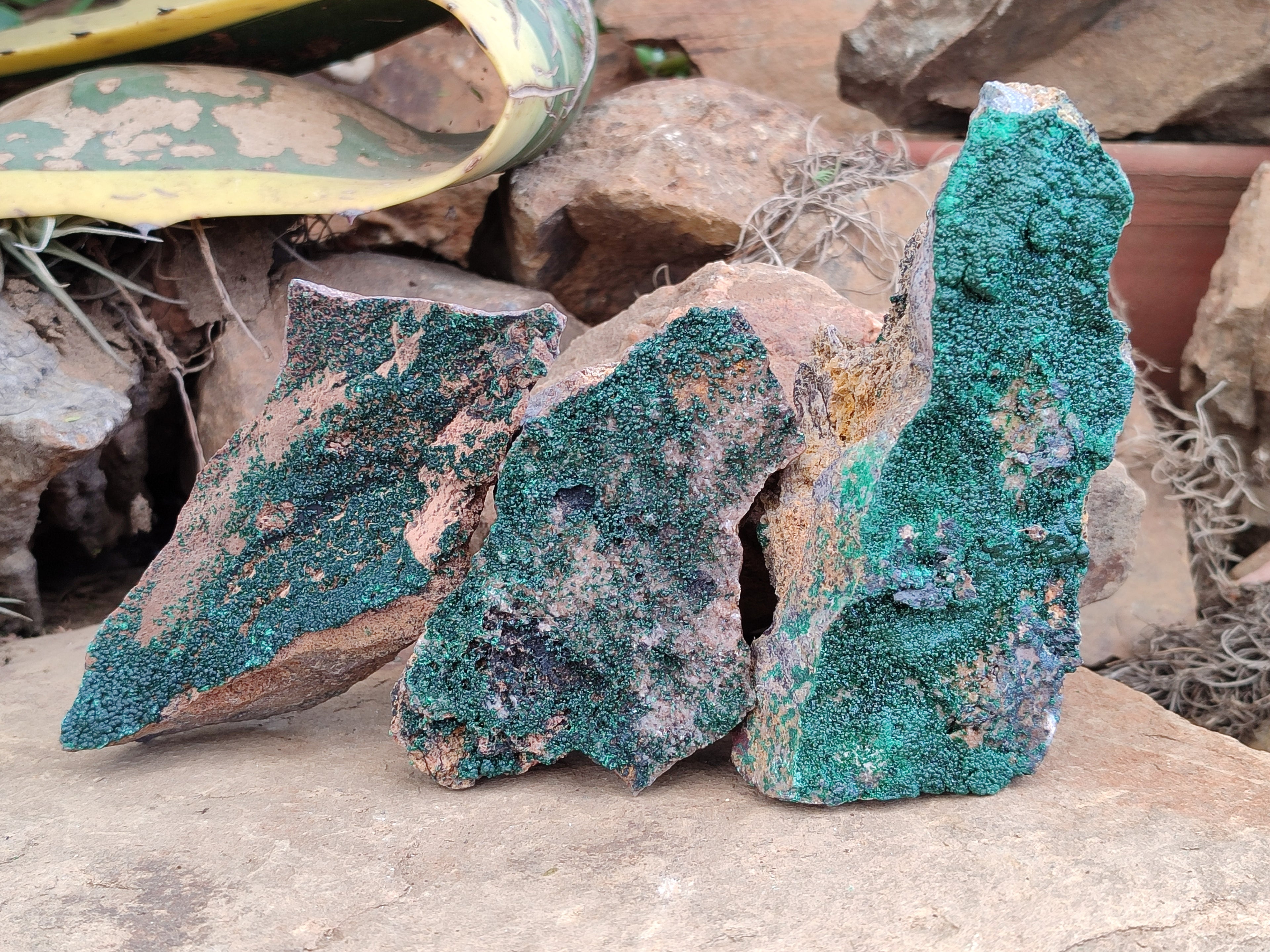 Natural Botryoidal Malachite Specimens x 5 From Congo - Toprock Gemstones and Minerals 