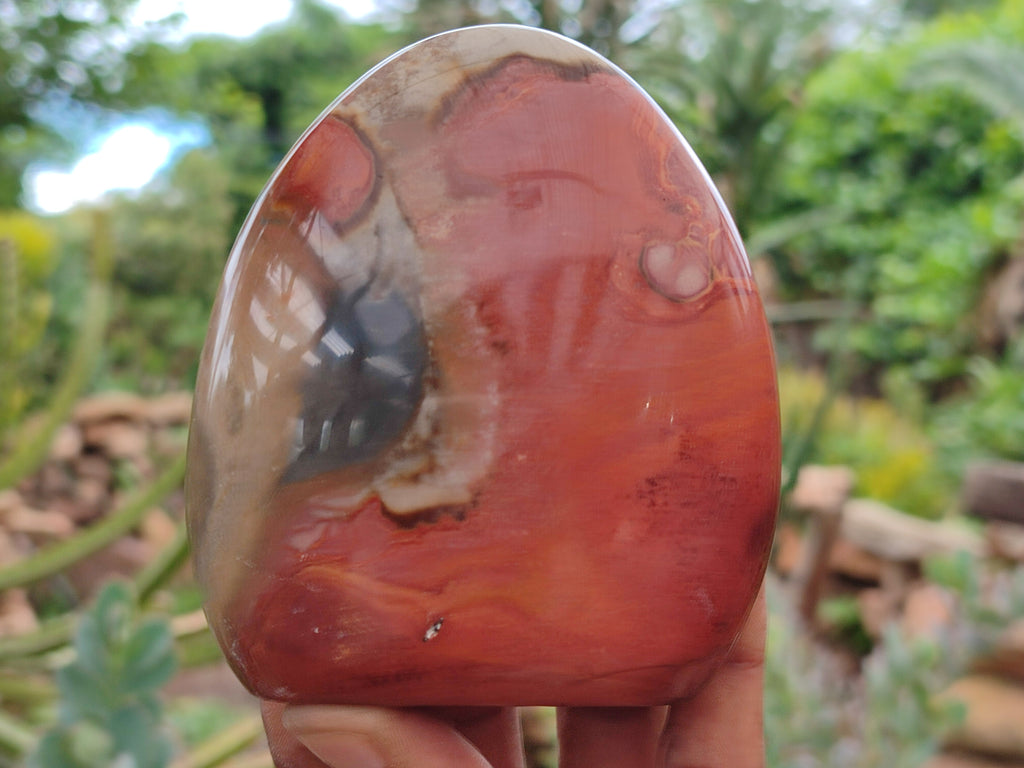 Polished Polychrome Jasper Standing Free Forms x 3 From Mahajanga, Madagascar - Toprock Gemstones and Minerals 