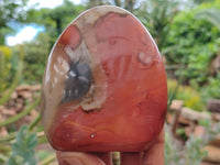 Polished Polychrome Jasper Standing Free Forms x 3 From Mahajanga, Madagascar - Toprock Gemstones and Minerals 