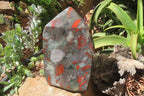 Polished Bloodstone Points x 1 From Swaziland - Toprock Gemstones and Minerals 