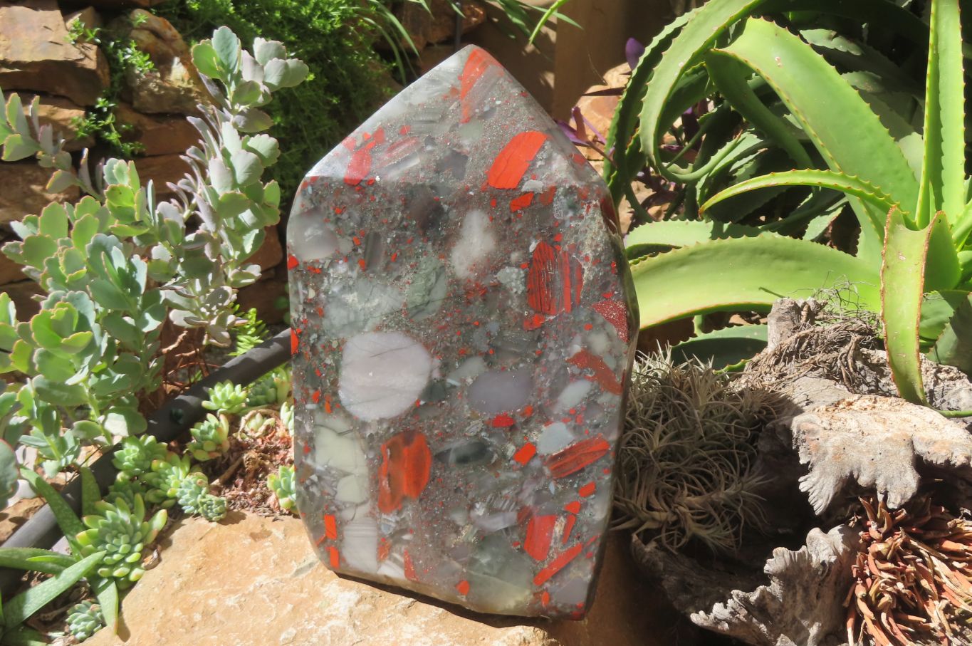 Polished Bloodstone Points x 1 From Swaziland - Toprock Gemstones and Minerals 