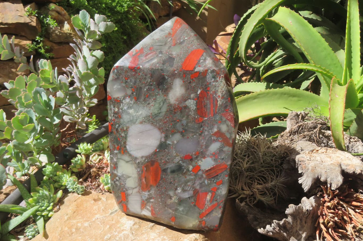 Polished Bloodstone Points x 1 From Swaziland - Toprock Gemstones and Minerals 