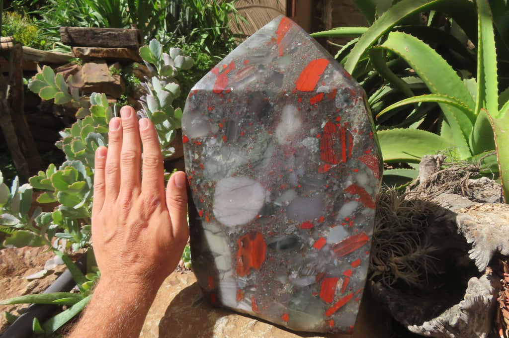 Polished Bloodstone Points x 1 From Swaziland - Toprock Gemstones and Minerals 