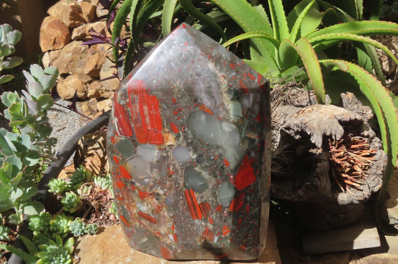 Polished Bloodstone Points x 1 From Swaziland - Toprock Gemstones and Minerals 