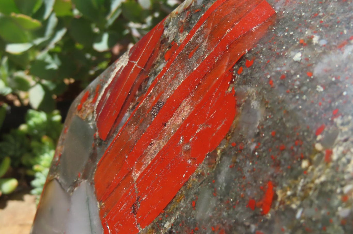 Polished Bloodstone Points x 1 From Swaziland - Toprock Gemstones and Minerals 