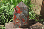 Polished Bloodstone Points x 1 From Swaziland - Toprock Gemstones and Minerals 