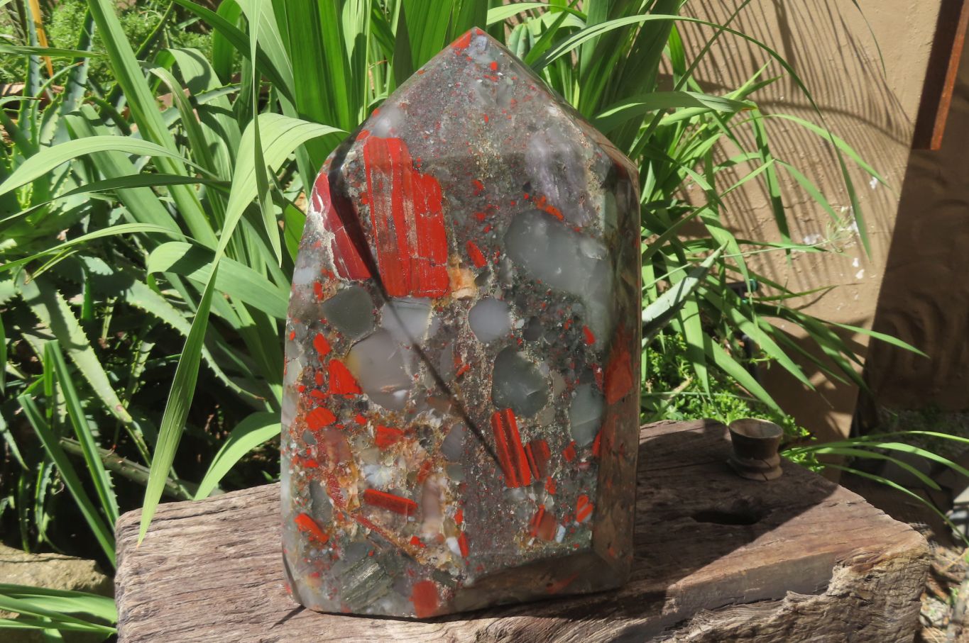 Polished Bloodstone Points x 1 From Swaziland - Toprock Gemstones and Minerals 