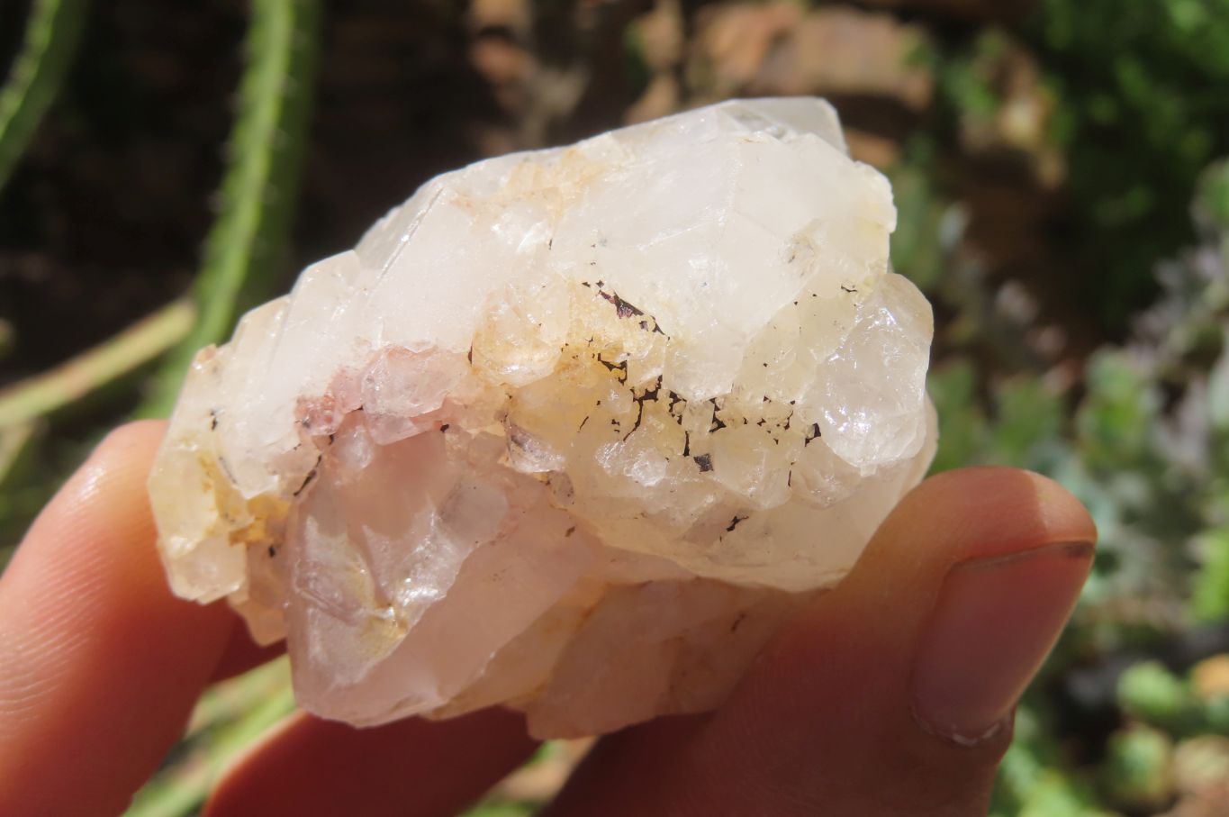 Natural Quartz Clusters x 12 From Madagascar - Toprock Gemstones and Minerals 