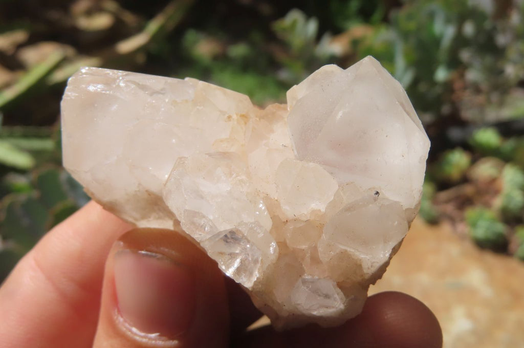 Natural Quartz Clusters x 12 From Madagascar - Toprock Gemstones and Minerals 