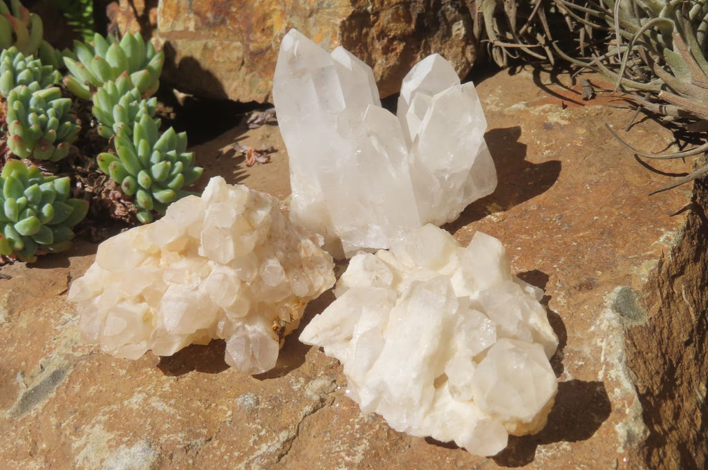 Natural Quartz Clusters x 12 From Madagascar - Toprock Gemstones and Minerals 