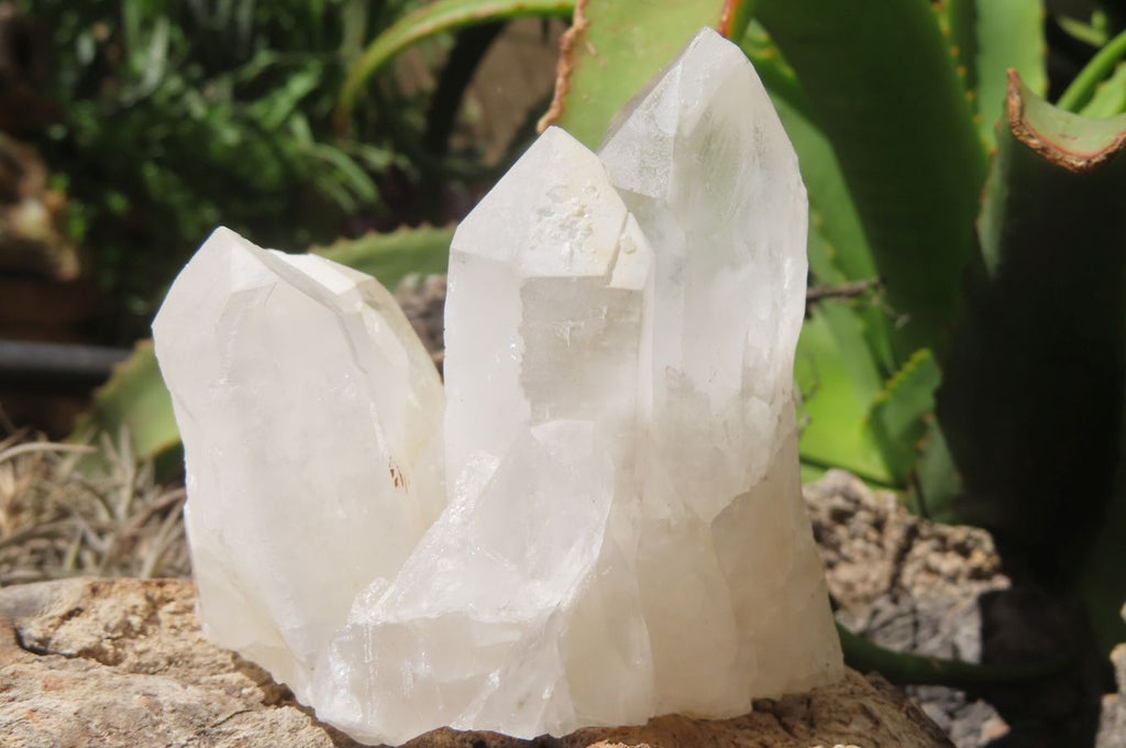 Natural Quartz Clusters x 12 From Madagascar - Toprock Gemstones and Minerals 