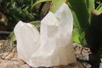 Natural Quartz Clusters x 12 From Madagascar - Toprock Gemstones and Minerals 