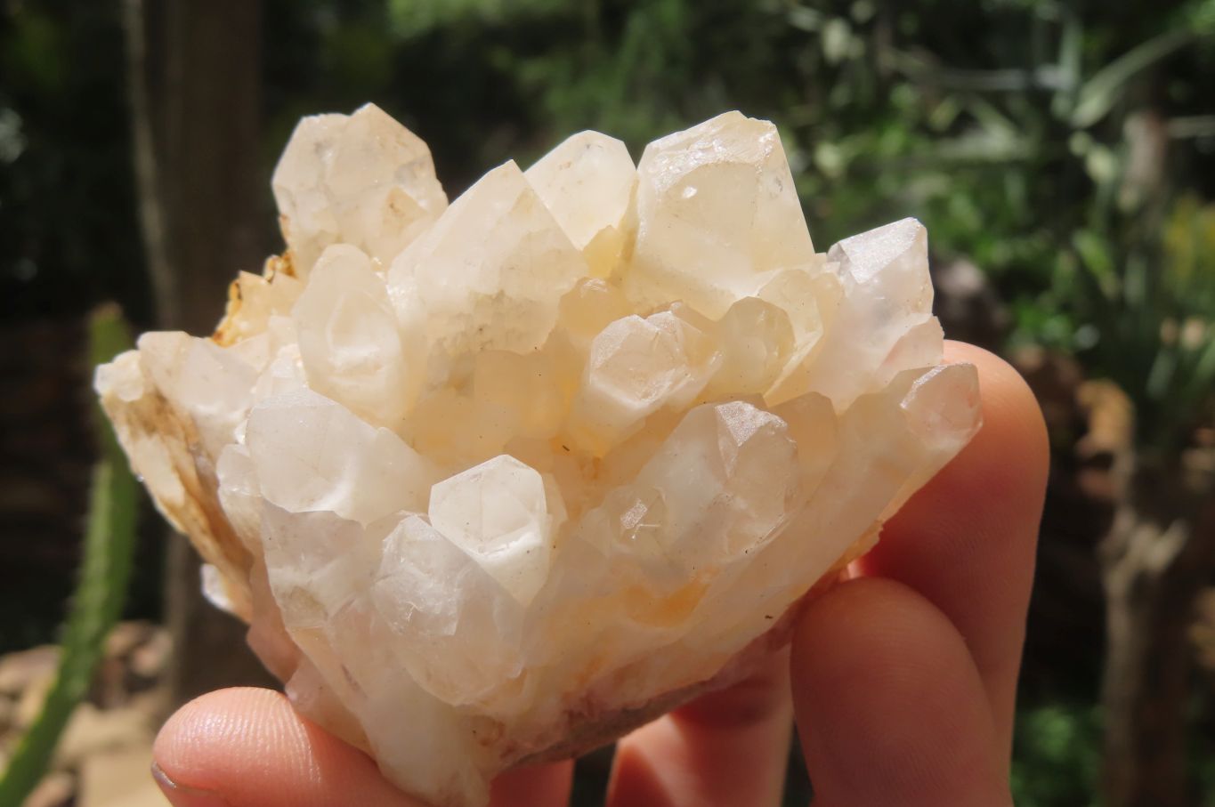 Natural Quartz Clusters x 12 From Madagascar - Toprock Gemstones and Minerals 