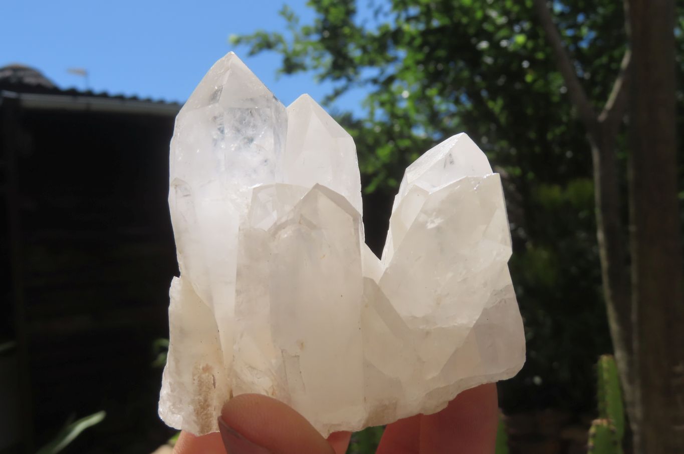 Natural Quartz Clusters x 12 From Madagascar - Toprock Gemstones and Minerals 