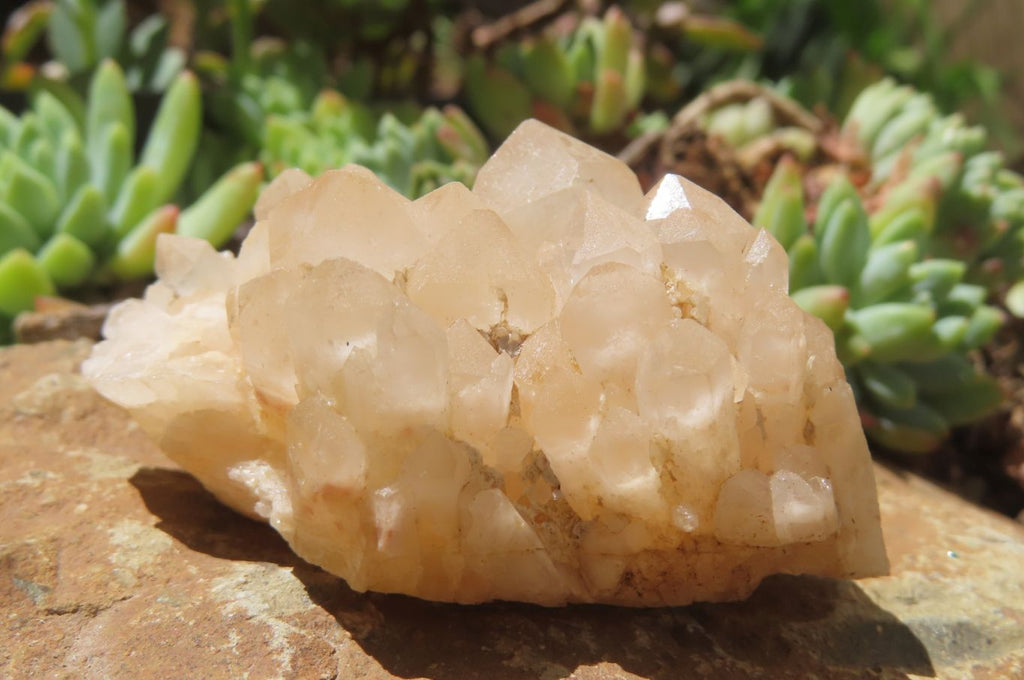 Natural Quartz Clusters x 12 From Madagascar - Toprock Gemstones and Minerals 