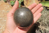 Polished Pharaoh Stone Sphere x 1 From Zimbabwe - Toprock Gemstones and Minerals 