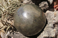 Polished Pharaoh Stone Sphere x 1 From Zimbabwe - Toprock Gemstones and Minerals 