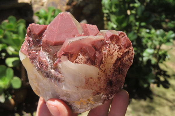 Natural Red Hematoid Quartz Clusters x 4 From Karoi, Zimbabwe