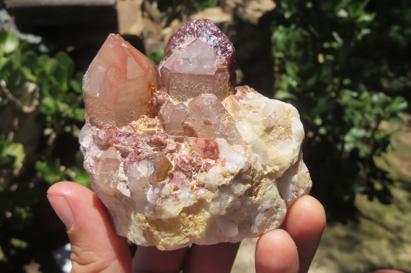 Natural Red Hematoid Quartz Clusters x 4 From Karoi, Zimbabwe - Toprock Gemstones and Minerals 