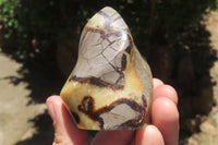 Polished Septerye Flame Sculptures x 6 From Madagascar - Toprock Gemstones and Minerals 