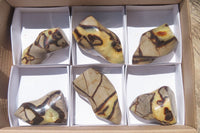 Polished Septerye Flame Sculptures x 6 From Madagascar - Toprock Gemstones and Minerals 