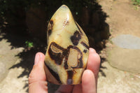 Polished Septerye Flame Sculptures x 6 From Madagascar - Toprock Gemstones and Minerals 