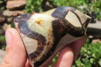 Polished Septerye Flame Sculptures x 6 From Madagascar - Toprock Gemstones and Minerals 