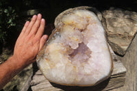 Polished Amethyst Agate Geode x 1 From Madagascar - Toprock Gemstones and Minerals 