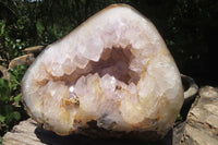 Polished Amethyst Agate Geode x 1 From Madagascar - Toprock Gemstones and Minerals 