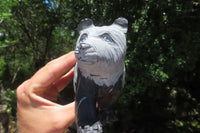 Hand Made Wonder Stone Panda Carving x 1 From Zimbabwe