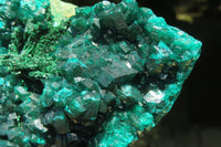 Natural Dioptase Cabinet Specimen x 1 From Congo