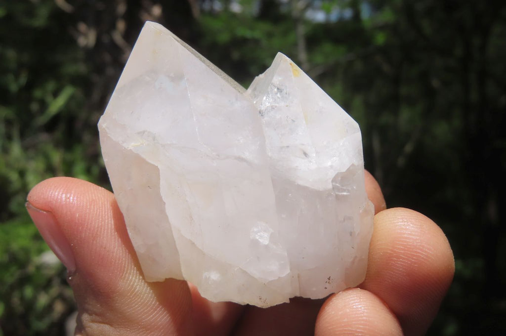 Natural Clear Quartz Clusters x 35 From Madagascar - Toprock Gemstones and Minerals 