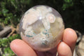 Polished Flower Agate Items x 10 From Madagascar - Toprock Gemstones and Minerals 