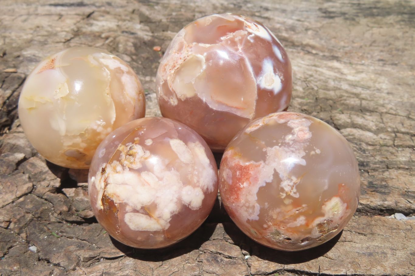 Polished Flower Agate Items x 10 From Madagascar - Toprock Gemstones and Minerals 